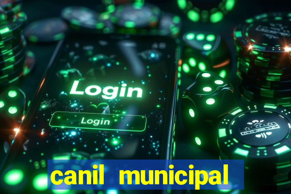 canil municipal porto alegre